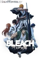 Bleach Thousand-Year Blood War Vegamovies